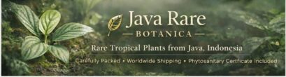 JTR Plants